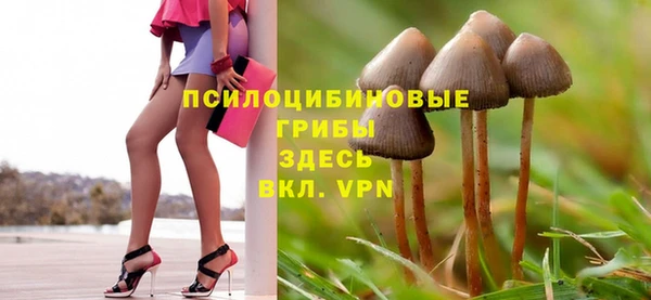 прущая мука Осташков