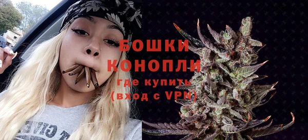 дурь Осинники