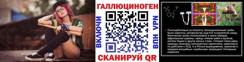 Псилоцибиновые грибы Psilocybine cubensis  Талица 