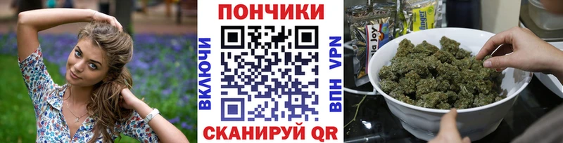 Конопля сатива  MEGA как зайти  Талица 